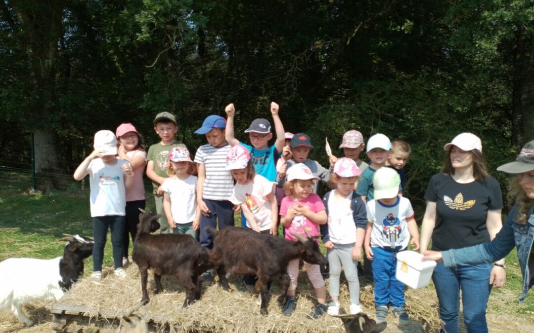 Sortie scolaire à la Combe aux Anes à Lanvellec